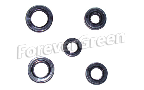 47057 O-Oil Ring